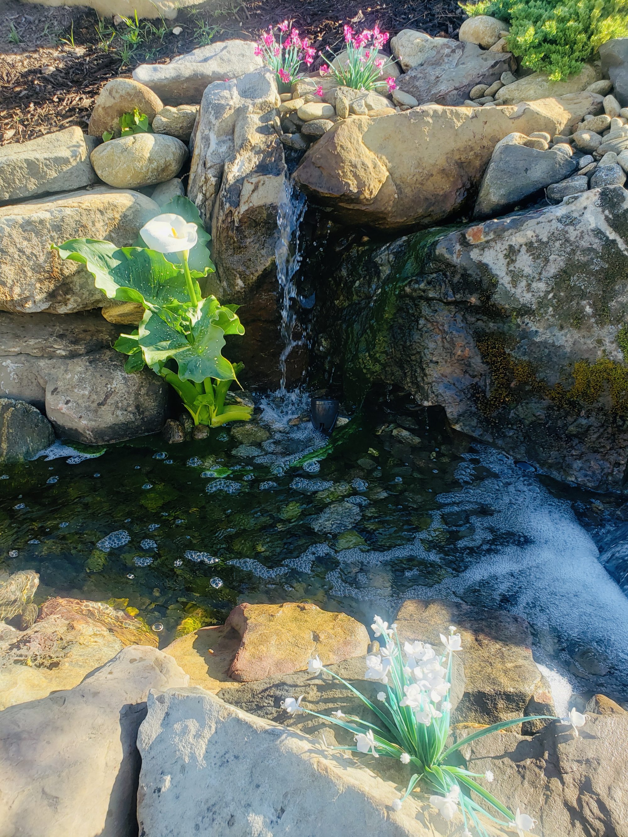 backyard water feature with small pond waterfall and rocks surrounding it