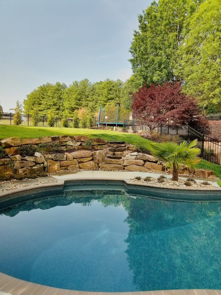 water features, water feature, swim pond, swimmable pond, swimming pond, water feature with stone, hardscaping, stone patio, stone walkway, flagstone, pavers