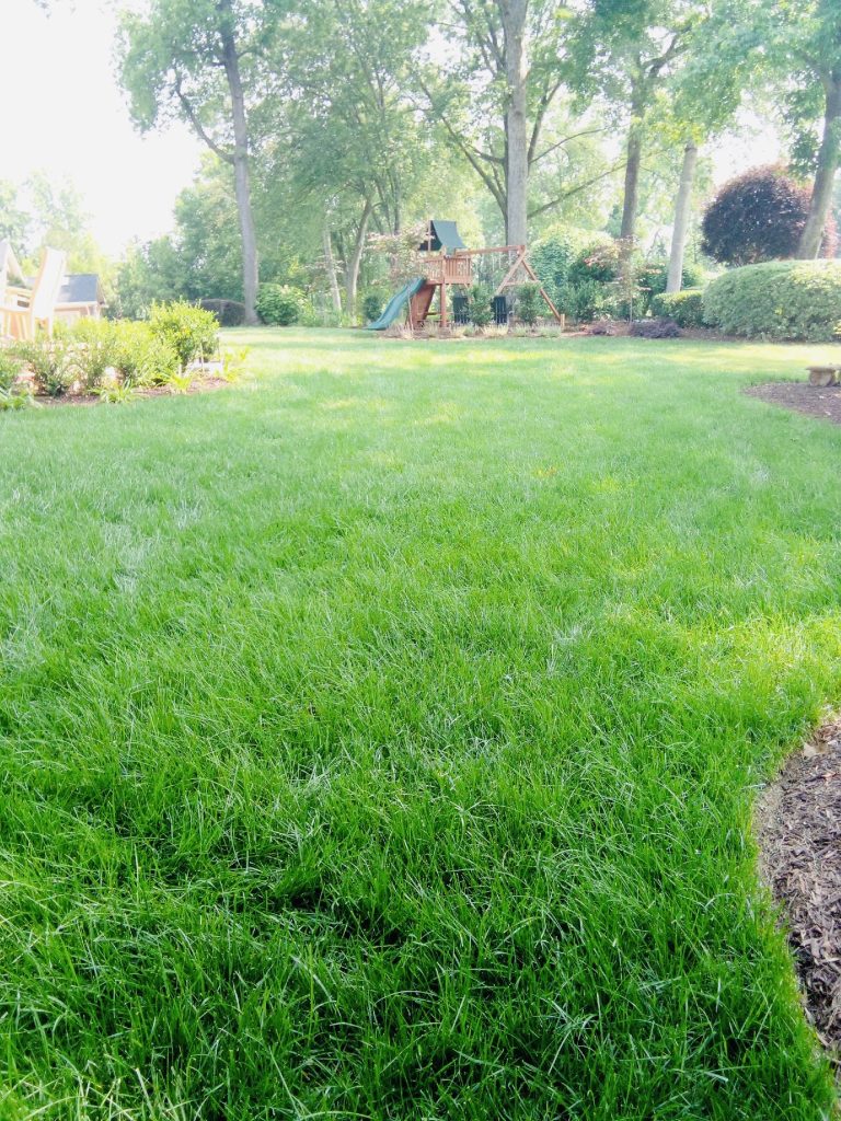 beautifully manicured lawn with a swing set in the background