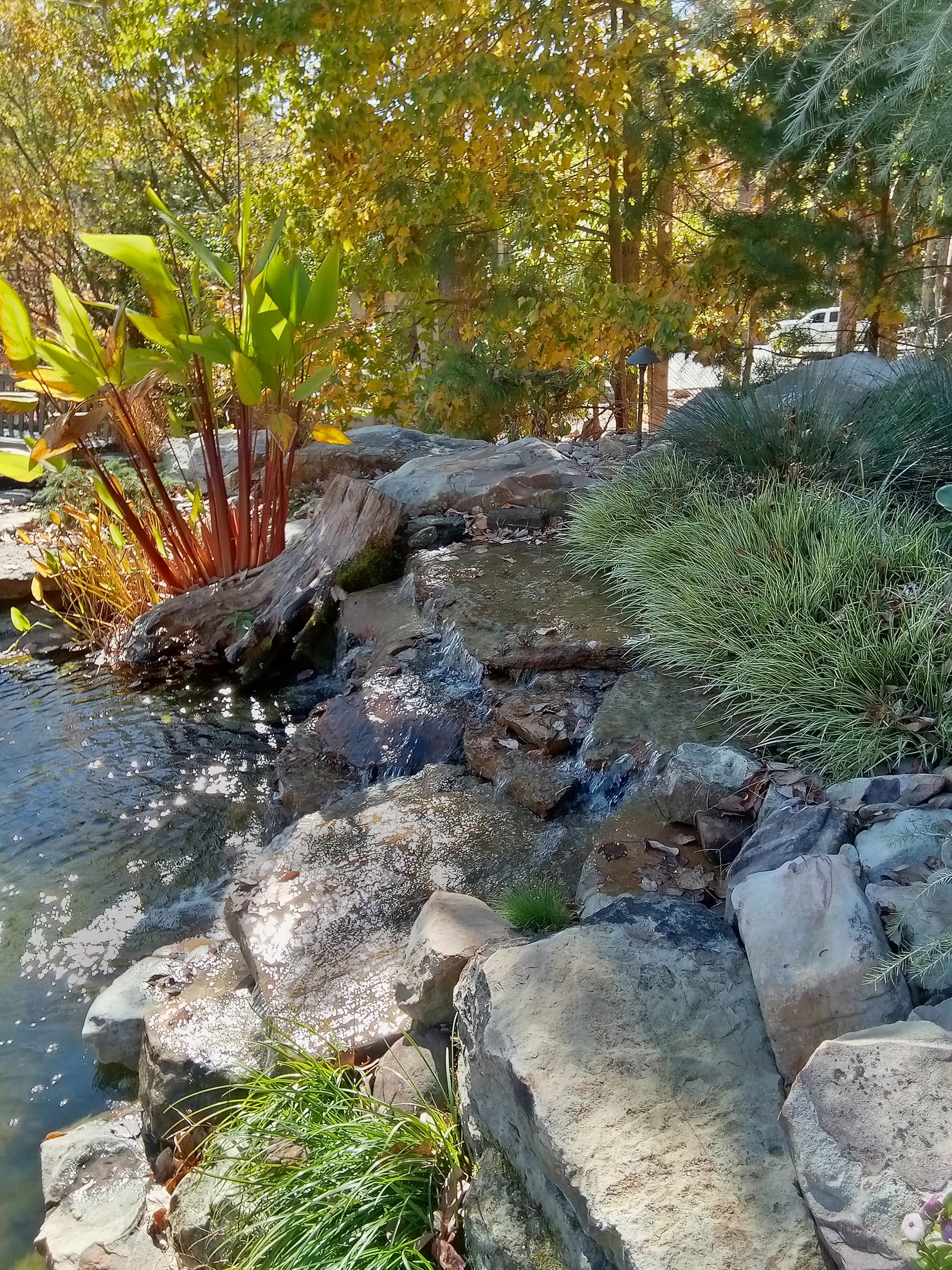 backyard water feature with rocks and small pond of water