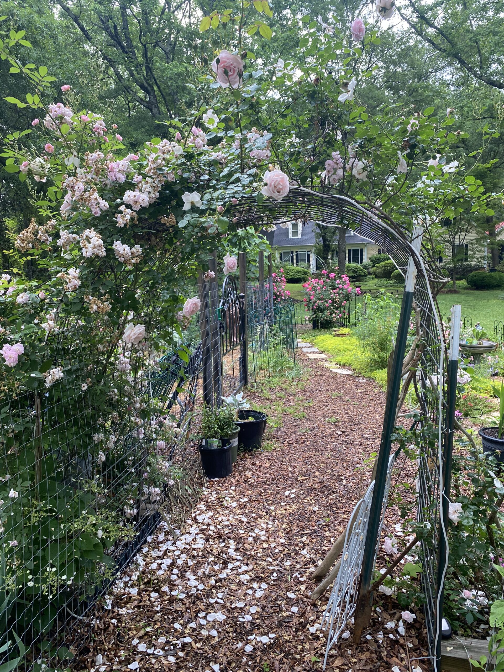 flower garden, flower bed, garden installation, trellis