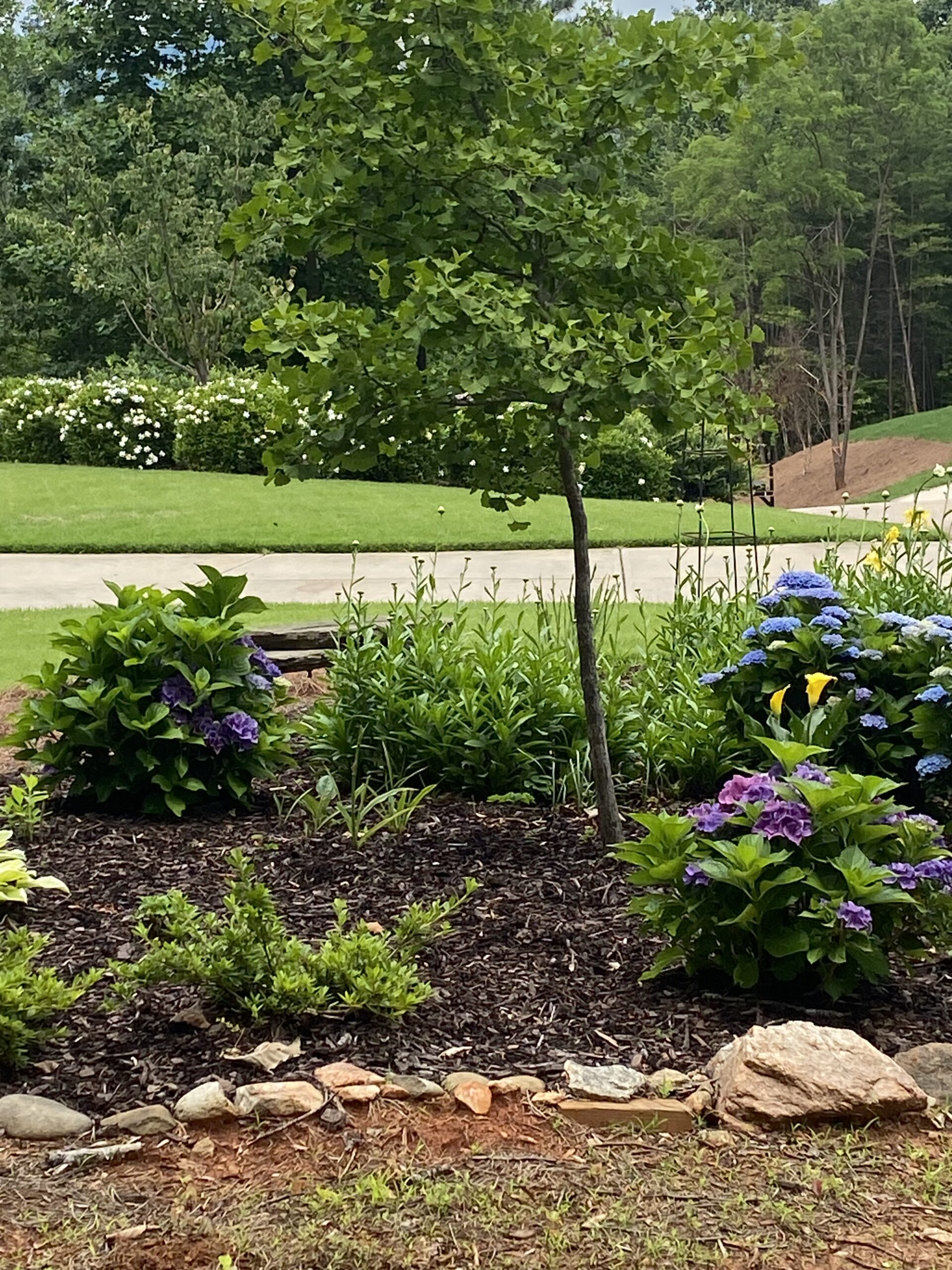 flower bed, garden, garden installation, spring garden