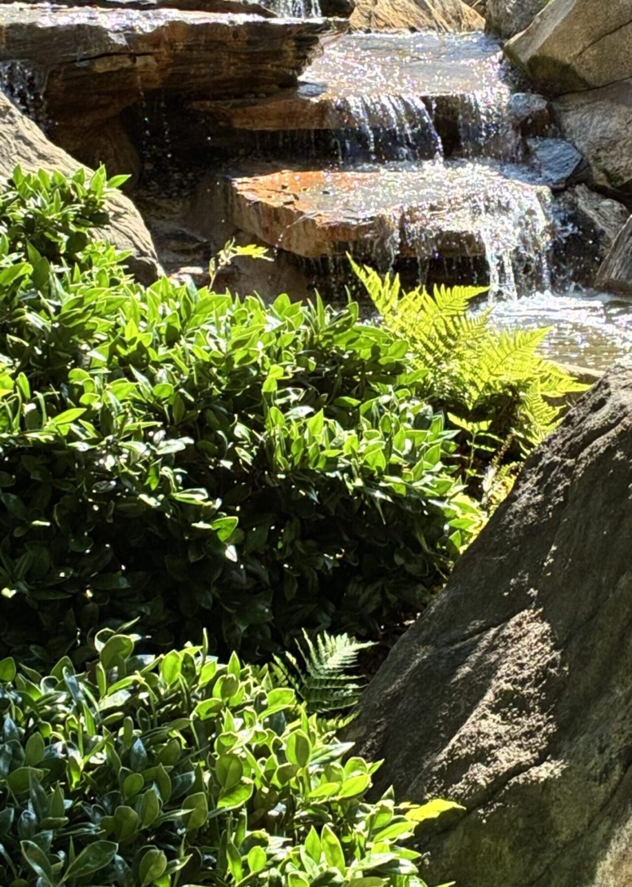 water feature, waterfall